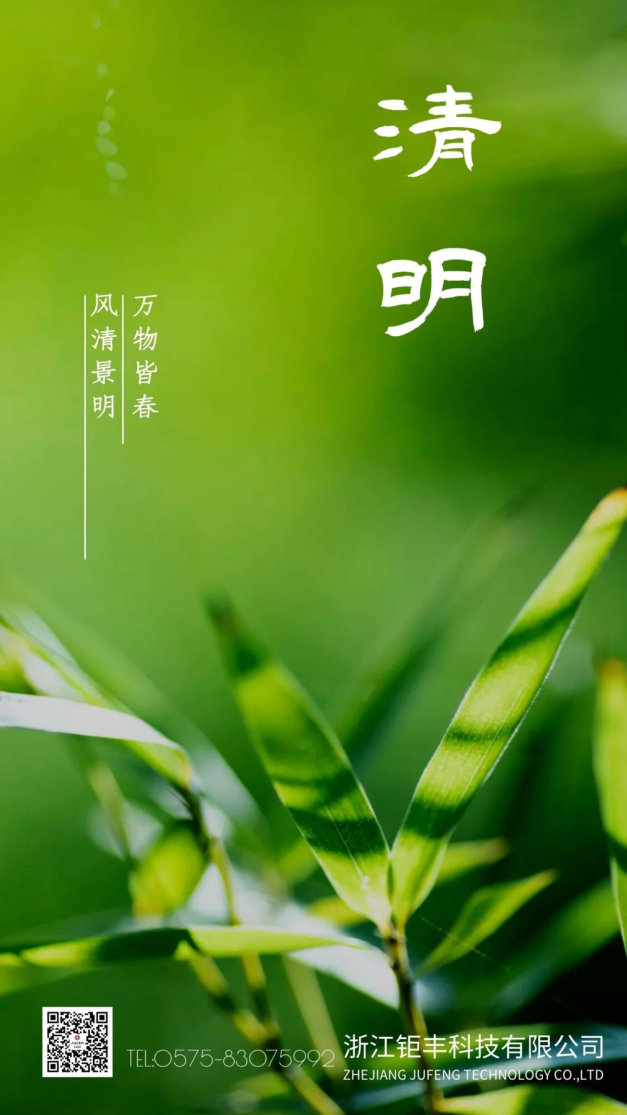 清明丨風が吹いて、清明節は春がいっぱいです